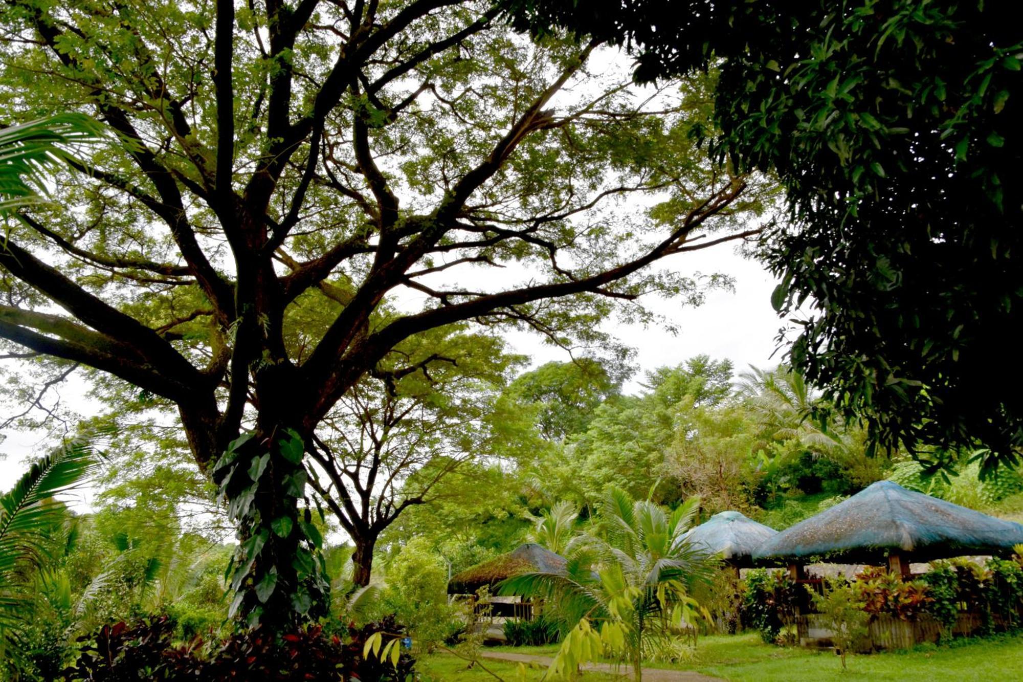 Isla De Oro Hotel Mamburao Экстерьер фото